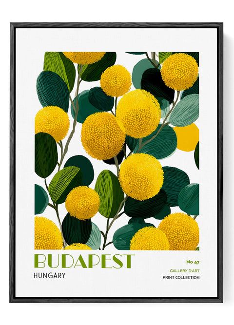 Modern floral poster Budapest Hungary wall decor