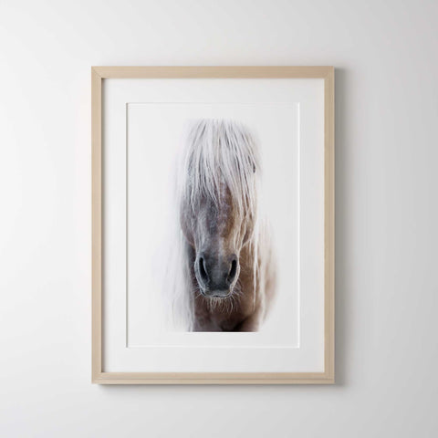 Modern horse lover wall decor