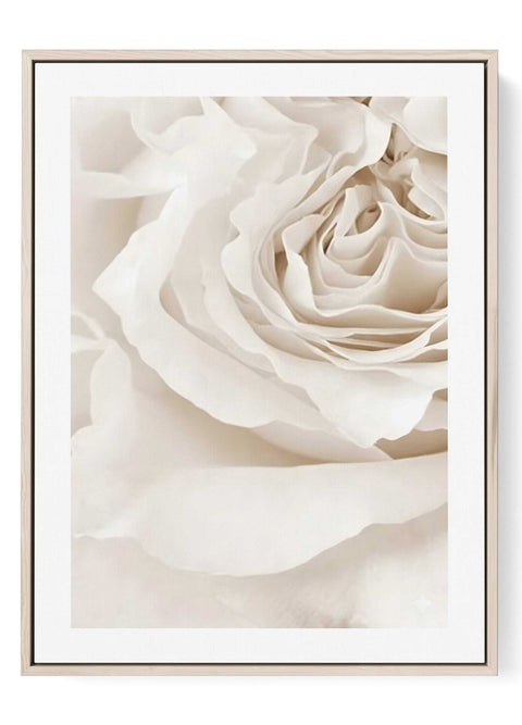 Modern neutral floral wall decor featuring a close-up of a white flower.