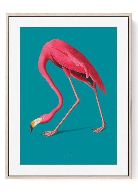 Modern pink flamingo art print with a minimalist tropical bird silhouette.