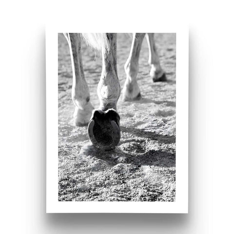 Monochrome equestrian photography decor