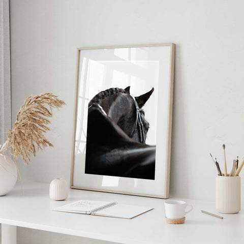 Monochrome equestrian photography featuring a dark horse