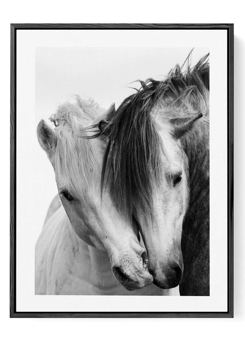 Monochrome equestrian portrait decor