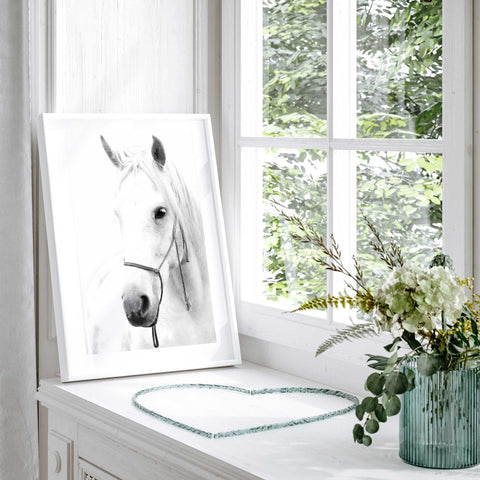Monochrome horse photography poster