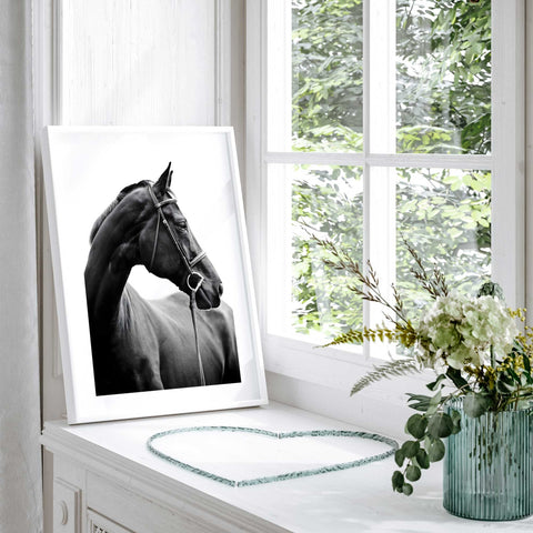 Monochrome horse profile artwork
