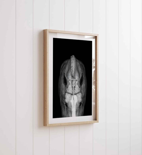 Moody Equestrian Photography for elegant and modern home decor