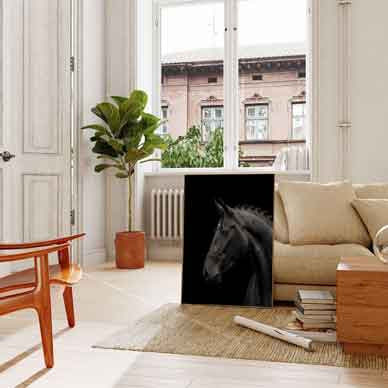 Moody Stallion Photography for sophisticated modern home decor