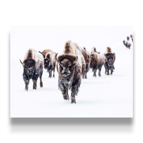 Mountain lodge wall art print