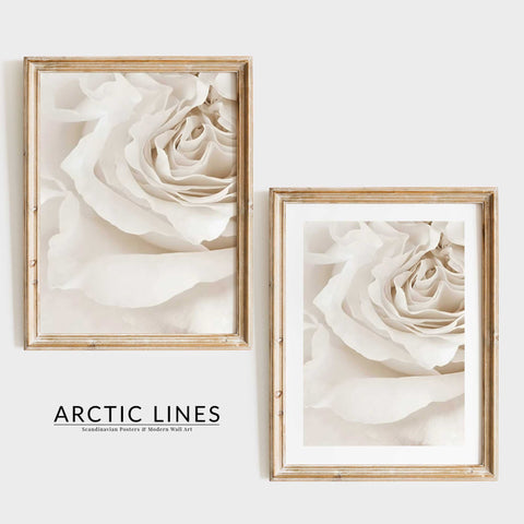 Muted cream and white color palette in a fine art botanical photography print.
