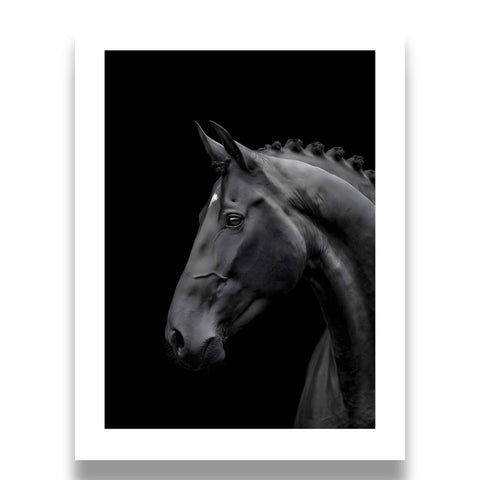 Neutral Tone Wall Decor featuring a powerful equestrian portrait