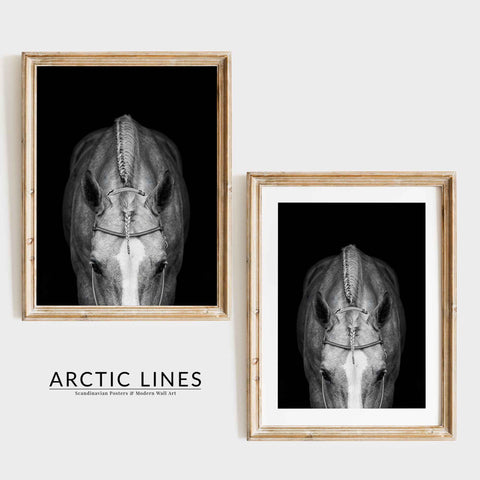 Neutral Tone Wall Decor featuring a unique perspective horse portrait
