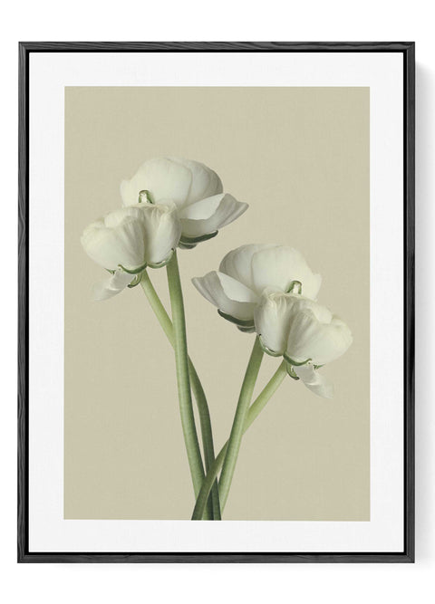 Neutral botanical wall art decor