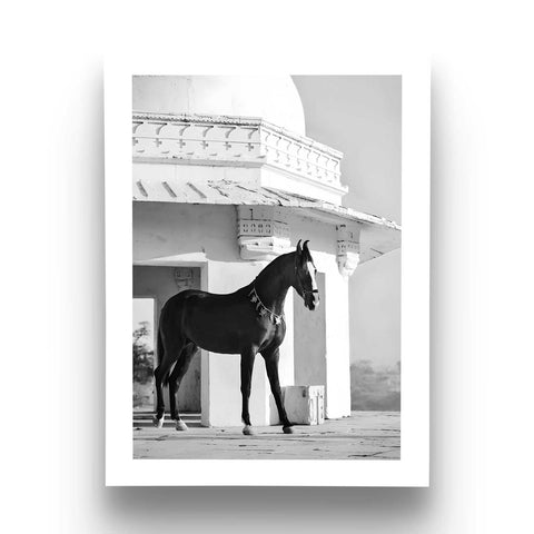 Neutral equestrian living room decor