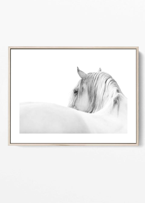 Neutral tone equine photography print