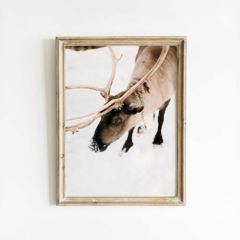 Peaceful Winter Landscape Print