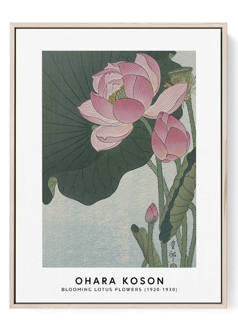 Ohara Koson blooming lotus print