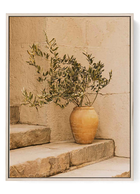 Olive Branch Wall Art Print