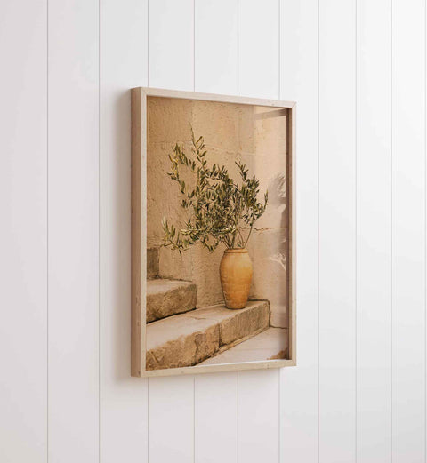 Olive Tree Botanical Print