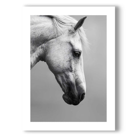 Peaceful and bright horse art poster for a modern farmhouse interior.