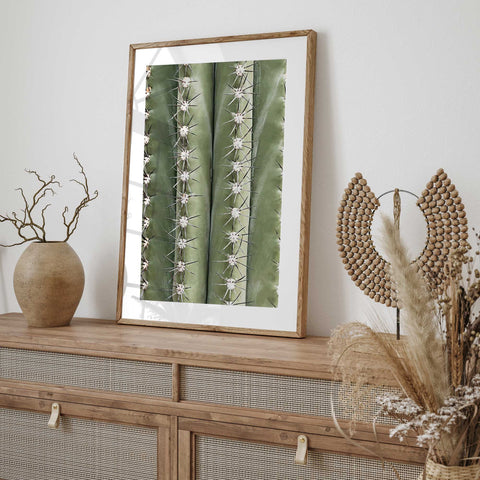Macro Cactus Texture Wall Art - Botanical Poster