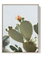 Prickly Pear Bloom - Desert Elegance Wall Art Poster
