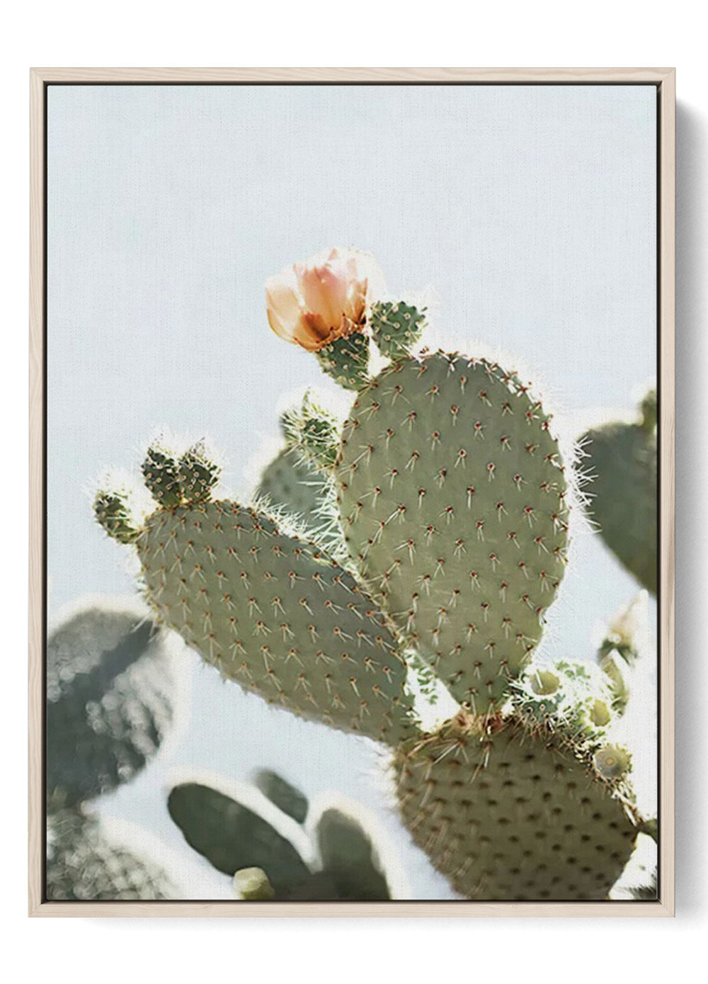 Prickly Pear Cactus Bloom Poster | Elegant Desert Wall Art
