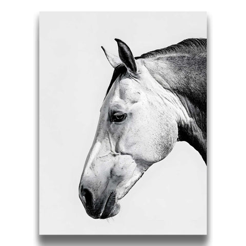 Ranch inspired interior wall decor