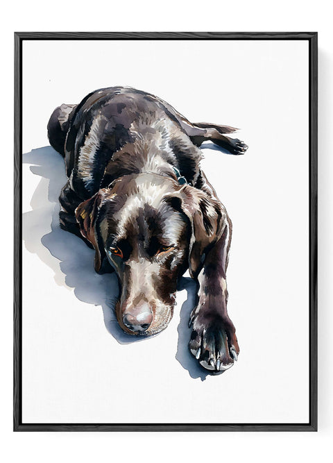 Resting dog watercolor