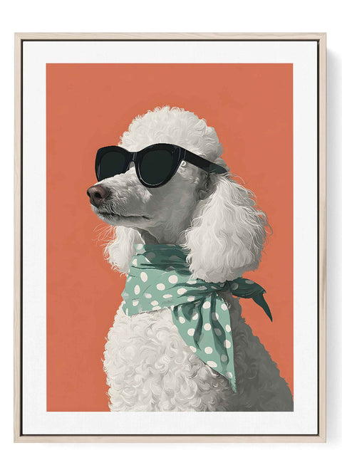 Retro pop art print of a stylish white poodle wearing oversized sunglasses.
