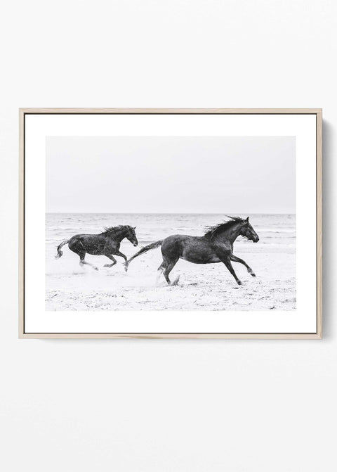 Running horses beach black and white wall art