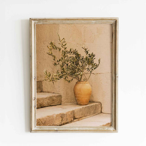 Rustic Olive Branch Print