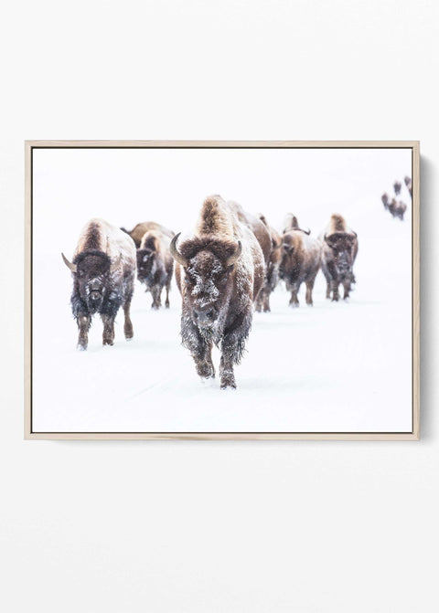 Rustic cabin wildlife decor