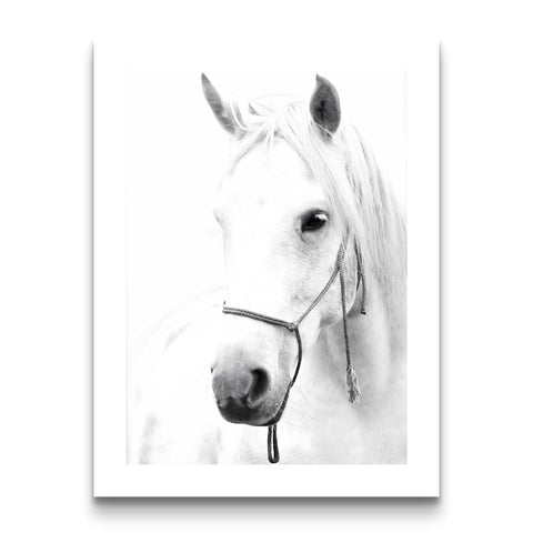 Rustic modern equestrian print