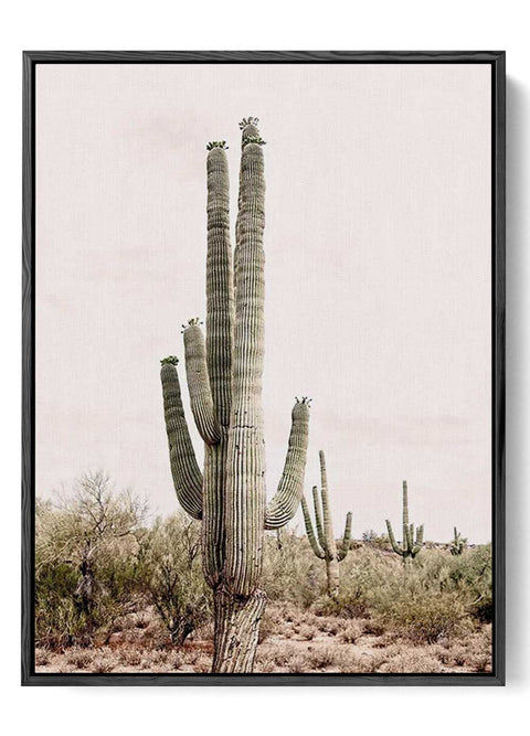 Saguaro Cactus Serenity - Desert Landscape Poster