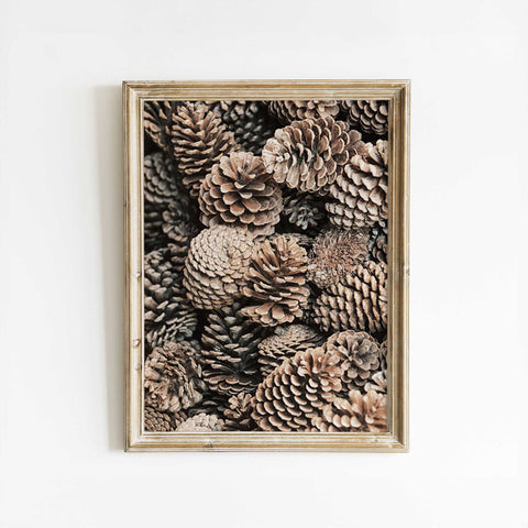 Forest Aesthetic Wall Art