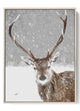 Regal Deer in Snowfall Canvas – Serene Winter Art