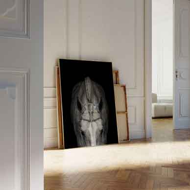 Scandinavian Wall Art featuring a close up horse head with white blaze