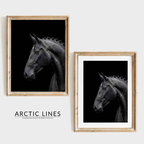 Scandinavian Wall Art showing a dramatic stallion profile in black and white