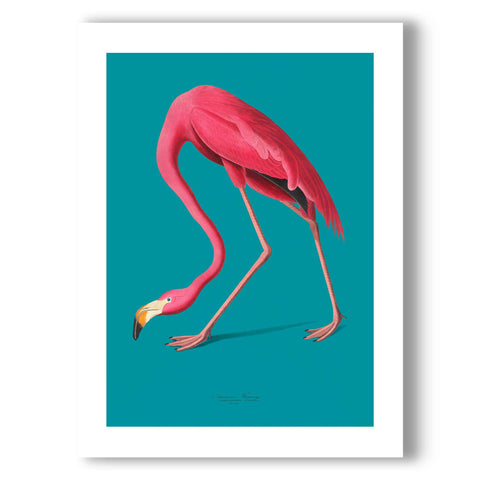 Scandinavian style animal art with a bold and bright pink flamingo.