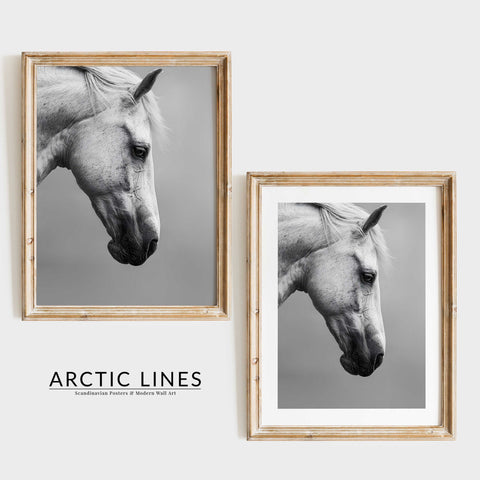Scandinavian style living room poster with a graceful horse portrait.