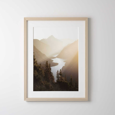 Scandinavian style nature poster with hazy sunlight and pine trees.