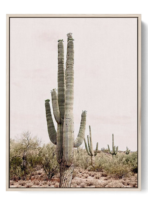 Serene Saguaro - Desert Cactus Art Print