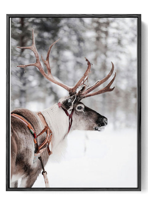 Winter Forest Reindeer Poster