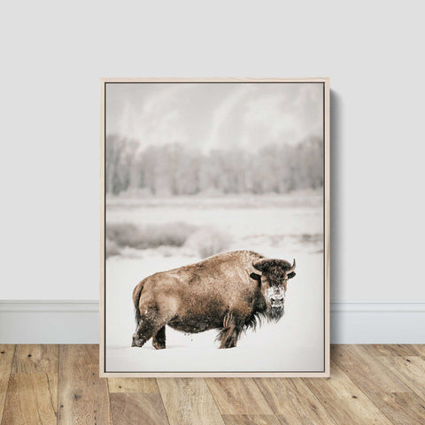 Wildlife-Resilience-Snow-Bison-Canvas-Poster-Home-Wall-Art