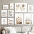 Gallery Wall Photographs from nature and illustrations in calm colours for bedroom