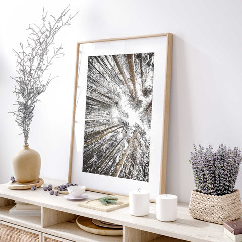 Peaceful Woodland Sanctuary Art