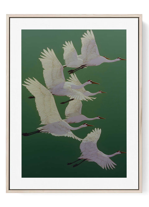 Sliced apple art print with detailed brown seeds and pale yellow flesh.