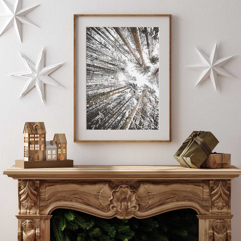 Sky Reaching Trees Poster