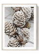 Snowy Pine Cone Canvas Art – Cozy Winter Vibes