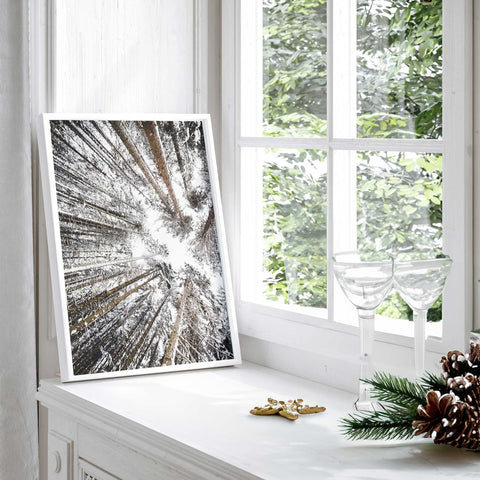 Woodland Splendor Wall Art